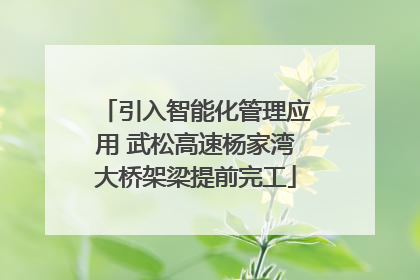 引入智能化管理应用 武松高速杨家湾大桥架梁提前完工