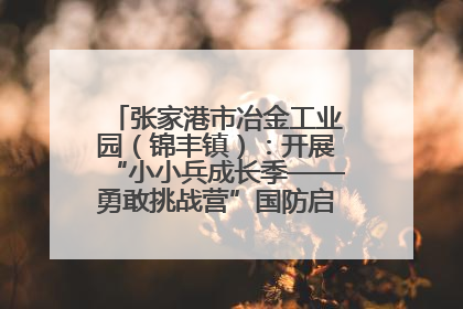 张家港市冶金工业园（锦丰镇）：开展“小小兵成长季——勇敢挑战营”国防启蒙教育活动
