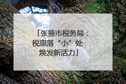 张掖市税务局：税惠落“小”处 焕发新活力