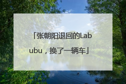 张朝阳退回的Labubu，换了一辆车