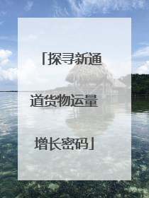 探寻新通道货物运量增长密码