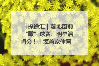 探徐汇｜落地窗前“瞰”球赛、明星演唱会！上海首家体育特色高端酒店亮相