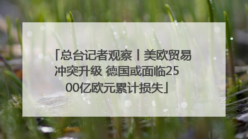 总台记者观察丨美欧贸易冲突升级 德国或面临2500亿欧元累计损失