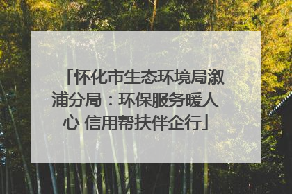 怀化市生态环境局溆浦分局：环保服务暖人心 信用帮扶伴企行