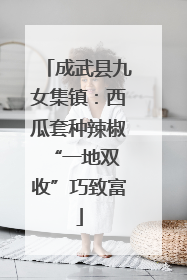 成武县九女集镇：西瓜套种辣椒 “一地双收”巧致富
