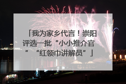 我为家乡代言！崇阳评选一批“小小推介官”“红领巾讲解员”