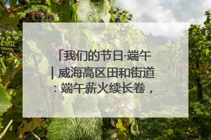 我们的节日·端午｜威海高区田和街道：端午薪火续长卷，邻里馨香聚暖流