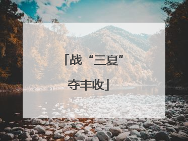 战“三夏” 夺丰收