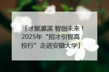 才聚濉溪 智创未来！2025年“招才引智高校行”走进安徽大学