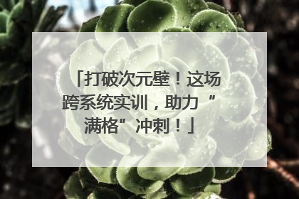 打破次元壁！这场跨系统实训，助力“满格”冲刺！