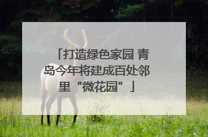 打造绿色家园 青岛今年将建成百处邻里“微花园”