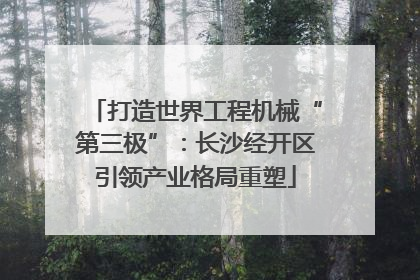 打造世界工程机械“第三极”：长沙经开区引领产业格局重塑