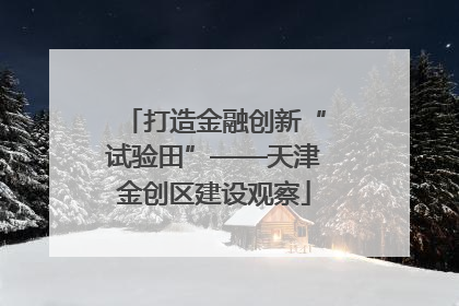 打造金融创新“试验田”——天津金创区建设观察