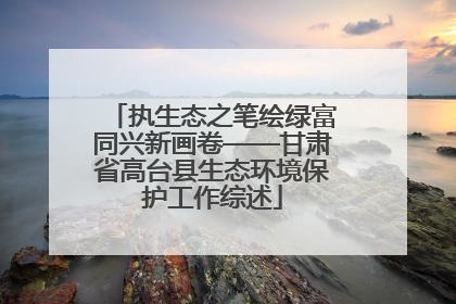 执生态之笔绘绿富同兴新画卷——甘肃省高台县生态环境保护工作综述