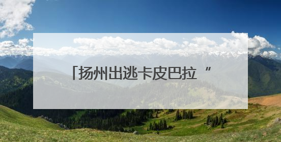 扬州出逃卡皮巴拉“豆包”公开征婚：无须彩礼且有正式编制
