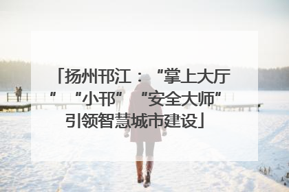 扬州邗江：“掌上大厅”“小邗”“安全大师”引领智慧城市建设
