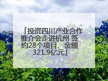 投资四川产业合作推介会走进杭州 签约28个项目、金额321.9亿元