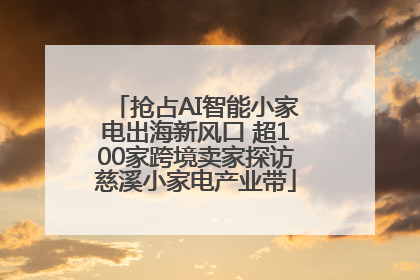 抢占AI智能小家电出海新风口 超100家跨境卖家探访慈溪小家电产业带