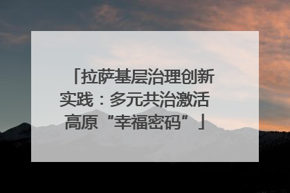 拉萨基层治理创新实践：多元共治激活高原“幸福密码”