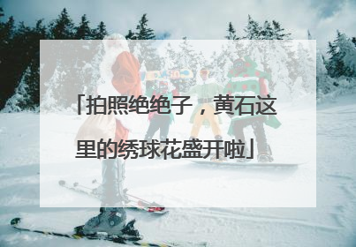 拍照绝绝子，黄石这里的绣球花盛开啦