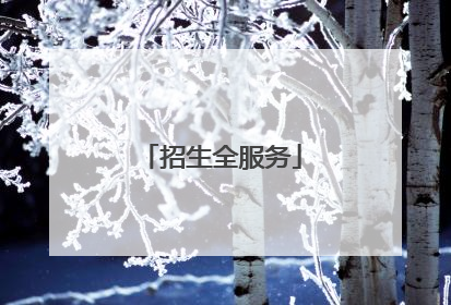 招生全服务