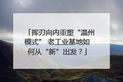 挥刃向内重塑“温州模式” 老工业基地如何从“新”出发？