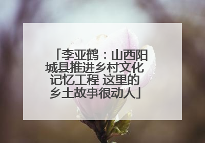 李亚鹤：山西阳城县推进乡村文化记忆工程 这里的乡土故事很动人