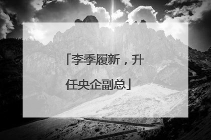 李季履新，升任央企副总