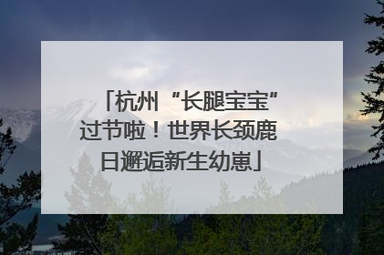 杭州“长腿宝宝”过节啦！世界长颈鹿日邂逅新生幼崽