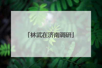 林武在济南调研