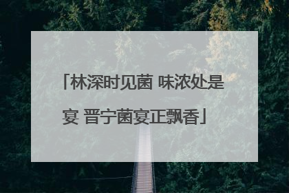 林深时见菌 味浓处是宴 晋宁菌宴正飘香