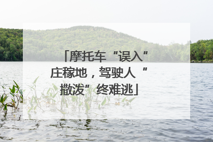 摩托车“误入”庄稼地，驾驶人“撒泼”终难逃