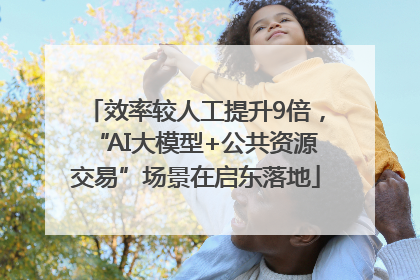 效率较人工提升9倍，“AI大模型+公共资源交易”场景在启东落地