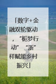 数字+金融双轮驱动，“栀梦行动”“浙”样赋能乡村振兴