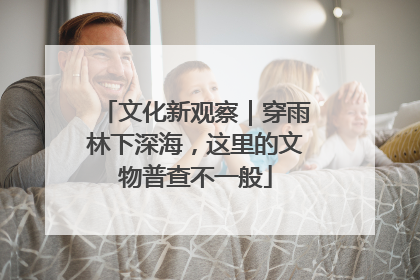 文化新观察｜穿雨林下深海，这里的文物普查不一般