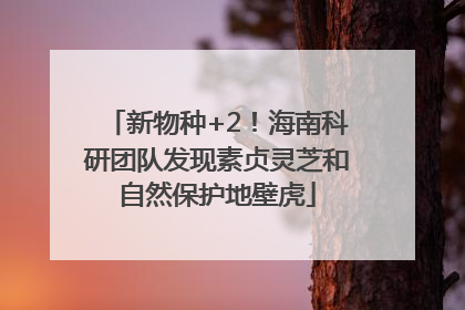 新物种+2！海南科研团队发现素贞灵芝和自然保护地壁虎