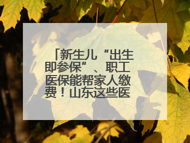 新生儿“出生即参保”、职工医保能帮家人缴费！山东这些医保新政太贴心