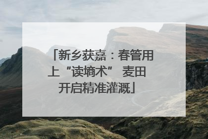新乡获嘉：春管用上“读墒术” 麦田开启精准灌溉