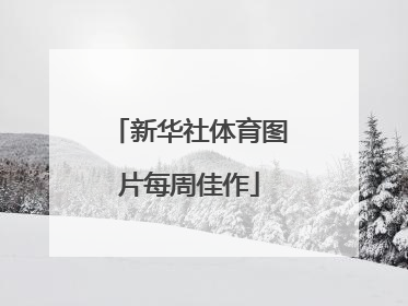 新华社体育图片每周佳作