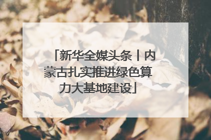 新华全媒头条丨内蒙古扎实推进绿色算力大基地建设