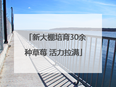 新大棚培育30余种草莓 活力拉满