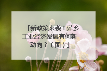 新政策来袭！萍乡工业经济发展有何新动向？（图）