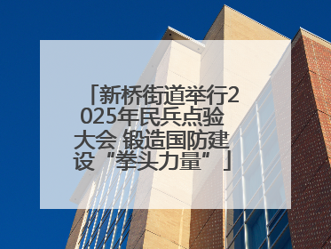 新桥街道举行2025年民兵点验大会 锻造国防建设“拳头力量”