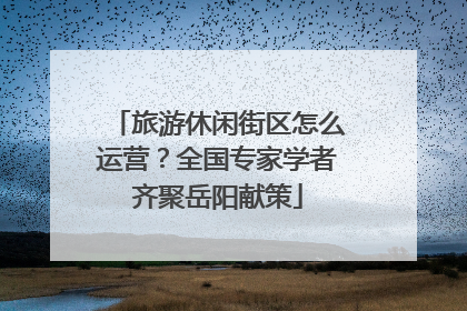 旅游休闲街区怎么运营？全国专家学者齐聚岳阳献策