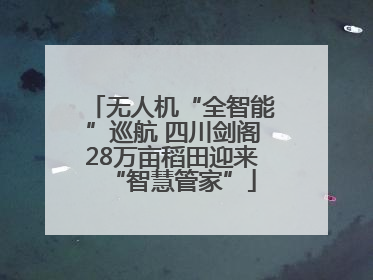无人机“全智能”巡航 四川剑阁28万亩稻田迎来“智慧管家”