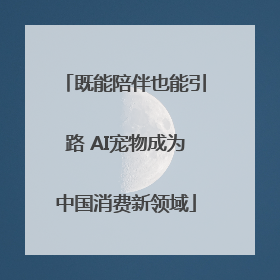 既能陪伴也能引路 AI宠物成为中国消费新领域