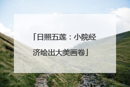 日照五莲：小院经济绘出大美画卷