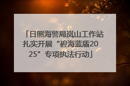 日照海警局岚山工作站扎实开展“碧海蓝盾2025”专项执法行动