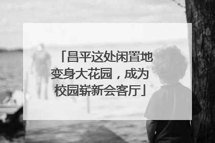 昌平这处闲置地变身大花园，成为校园崭新会客厅