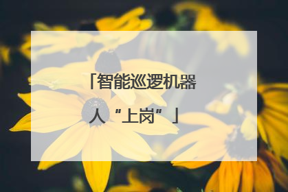 智能巡逻机器人“上岗”